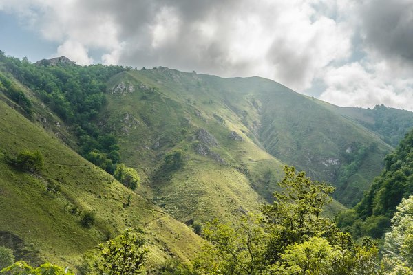 Comment organiser un camping pour observer les animaux marins en région littorale?